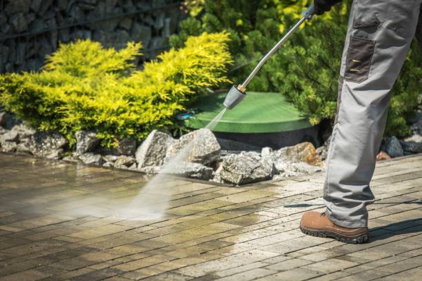 Best Pre-Holiday Cleaning  in Sheldon, TX